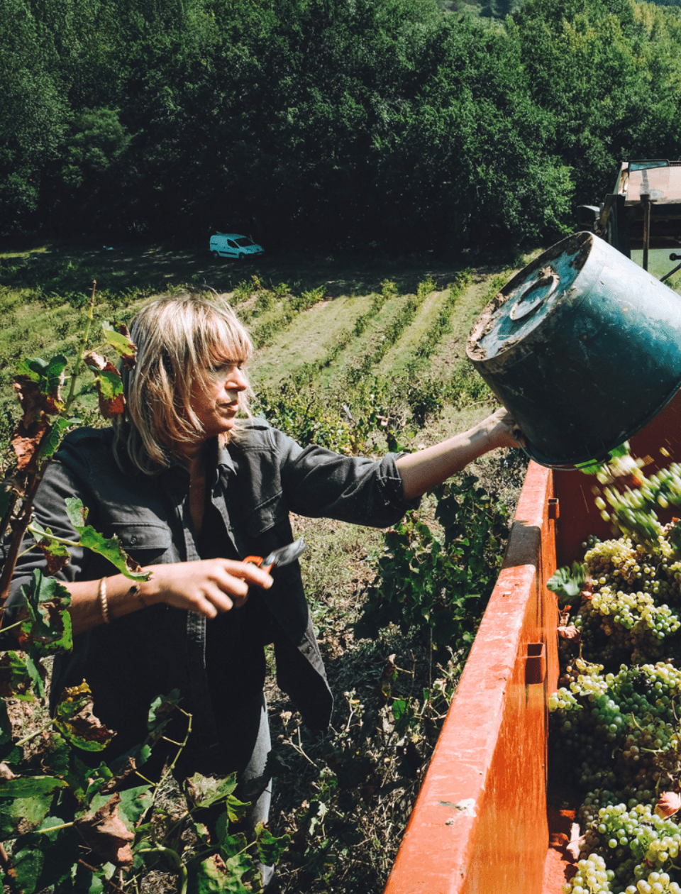 Domaine les Hautes Terres - Ponyhof Zu Verkaufen