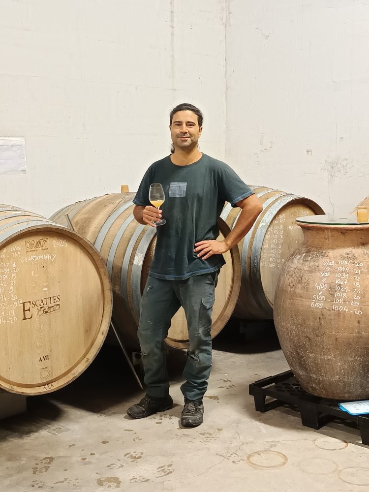Domaine de l'Escattes - Ponyhof Zu Verkaufen