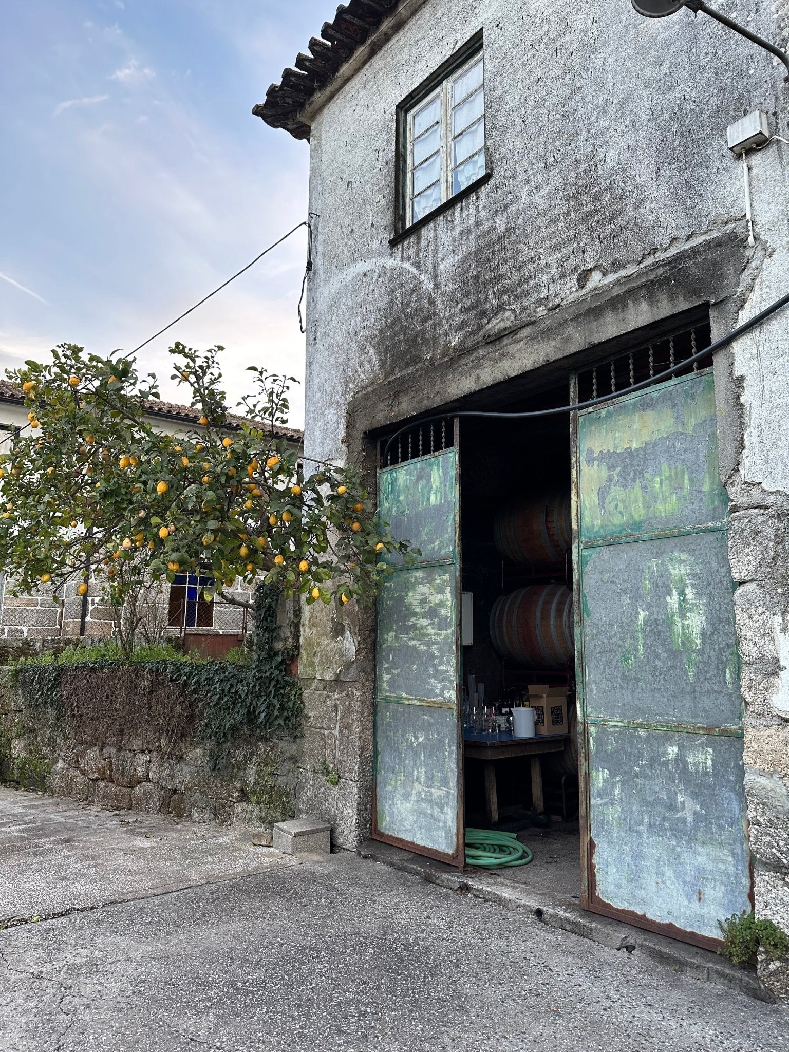 António Lopes Ribeiro Wines - Ponyhof Zu Verkaufen