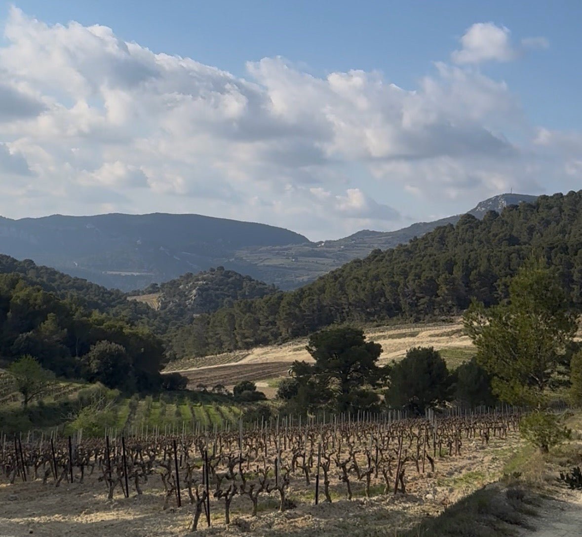 Domaine Clos de Trias - Ponyhof Zu Verkaufen