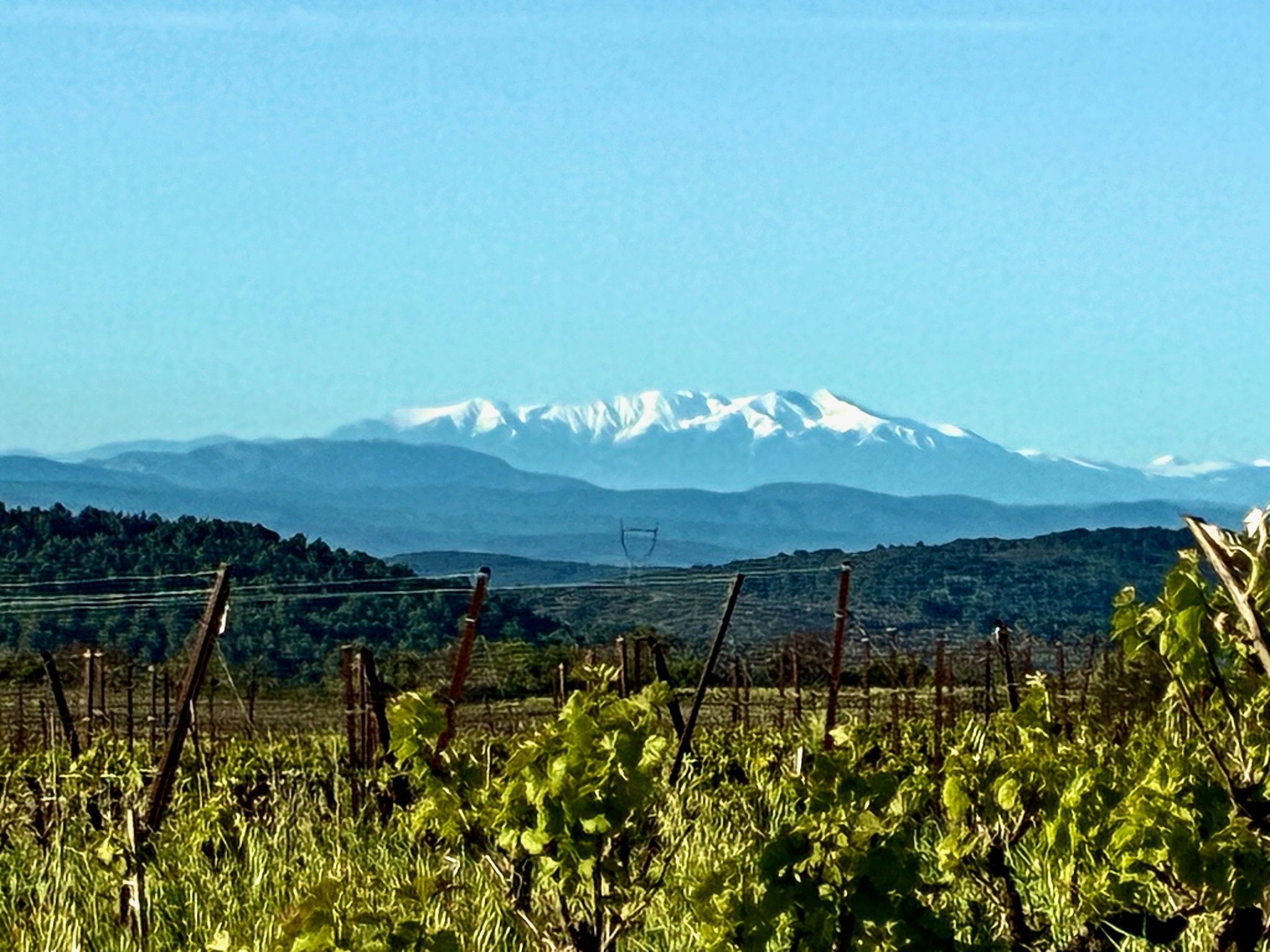 Domaine Clos du Gravillas - Ponyhof Zu Verkaufen