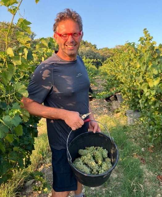 Domaine des Accoles - Ponyhof Zu Verkaufen