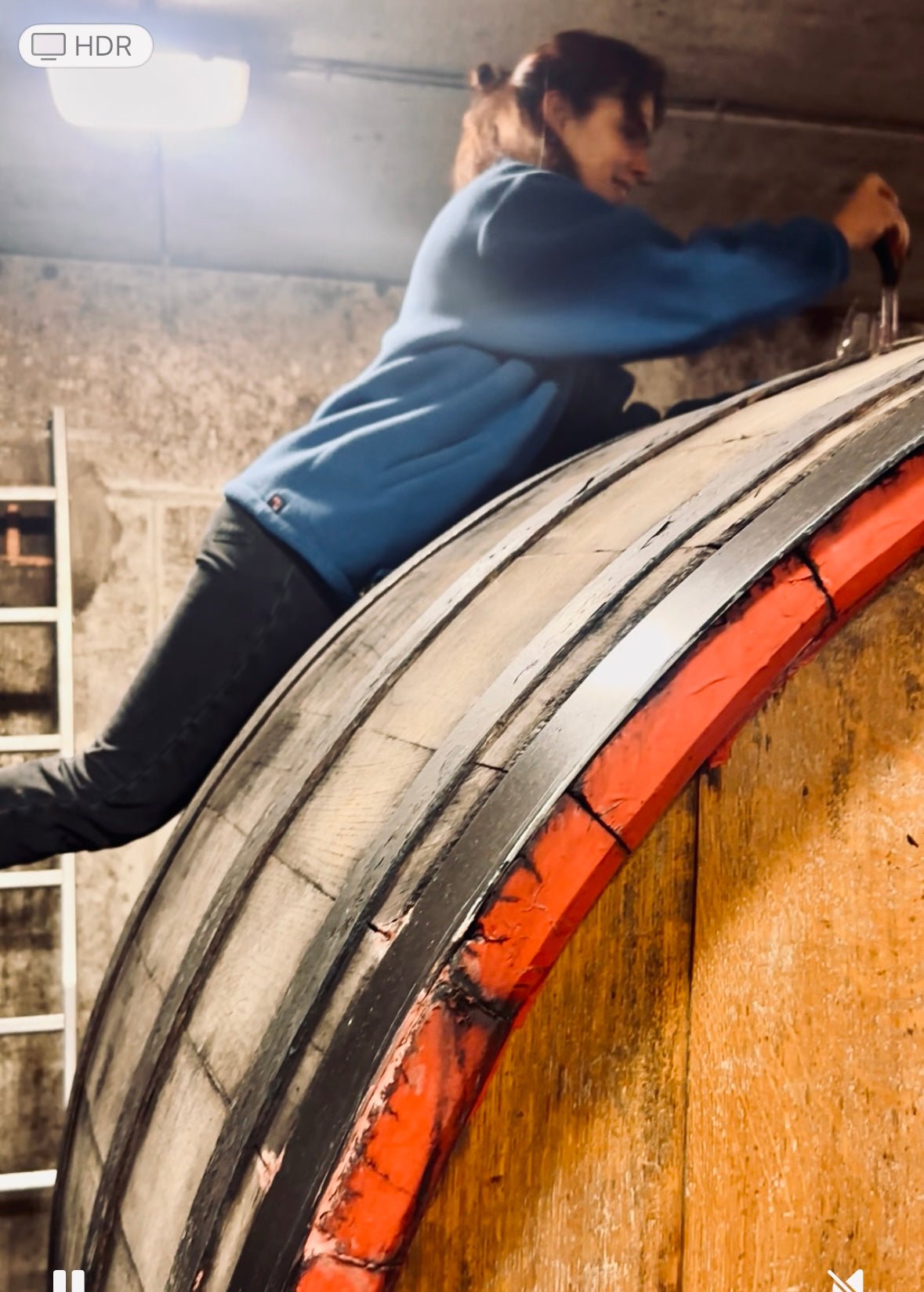 Domaine Moulin de la Gardette - Ponyhof Zu Verkaufen