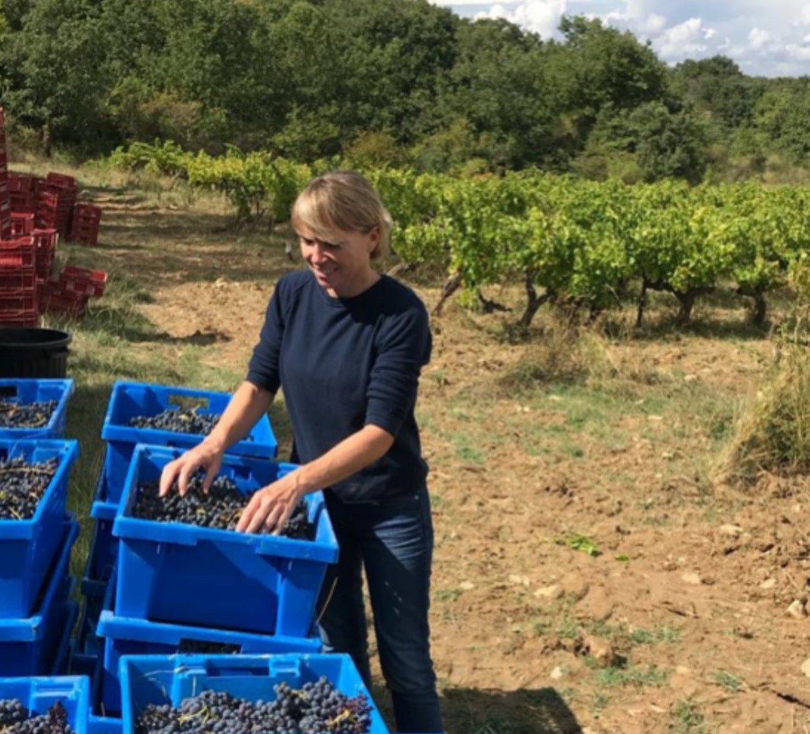 Domaine Purviti - Ponyhof Zu Verkaufen