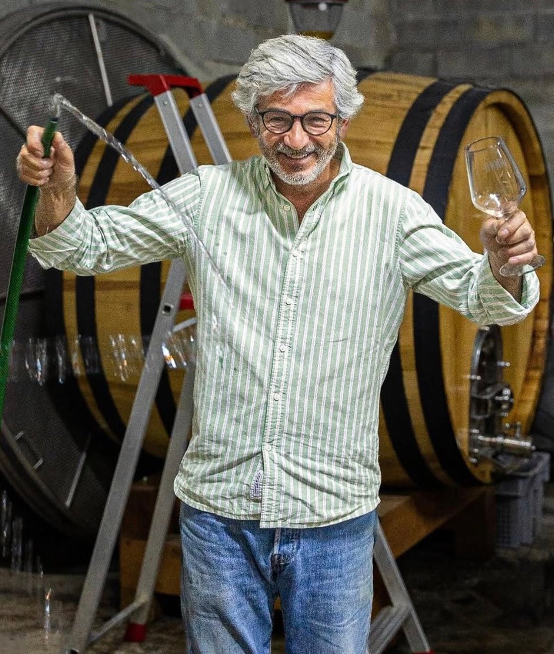 Joao Tavares de Pinas Wines - Ponyhof Zu Verkaufen