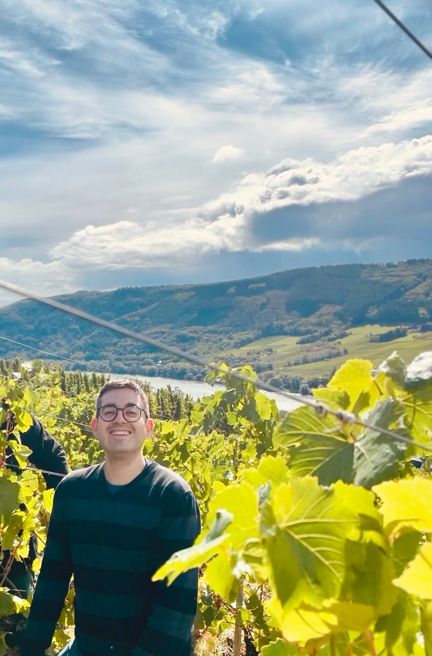 Weingut Jakoby-Mathy - Ponyhof Zu Verkaufen