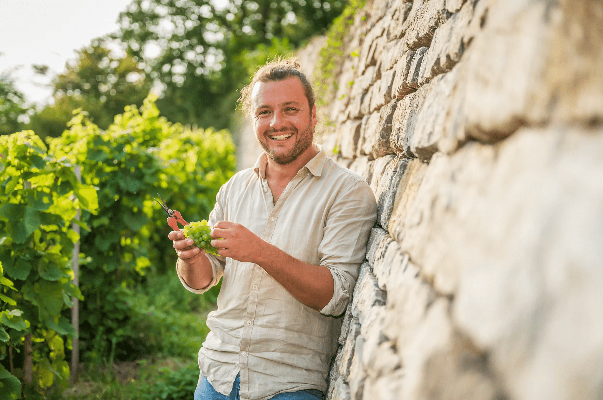Weingut Nicolas Olinger - Ponyhof Zu Verkaufen