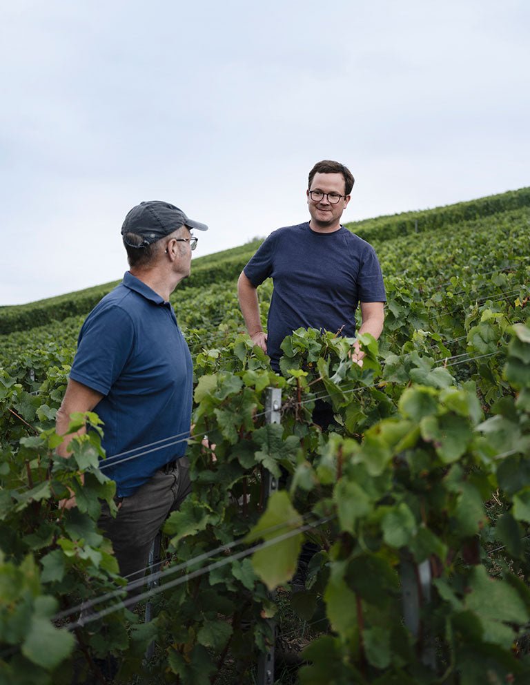 Weingut Rudolf Fürst - Ponyhof Zu Verkaufen