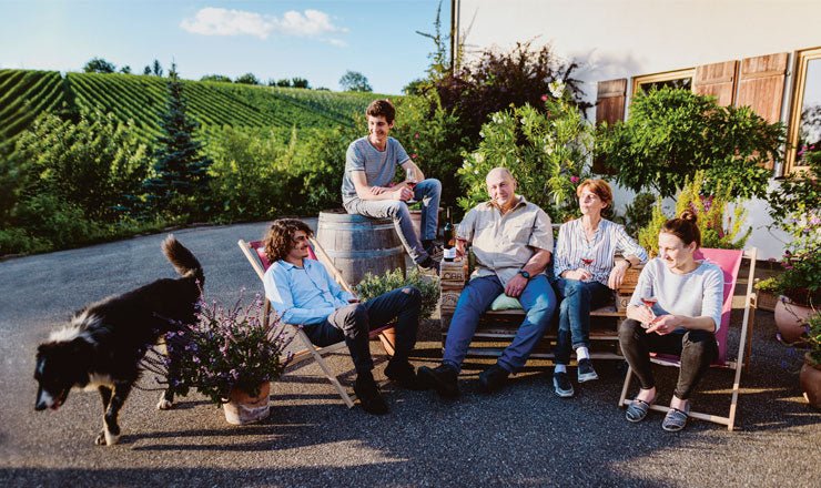 Weingut Schäfer-Heinrich - Ponyhof Zu Verkaufen