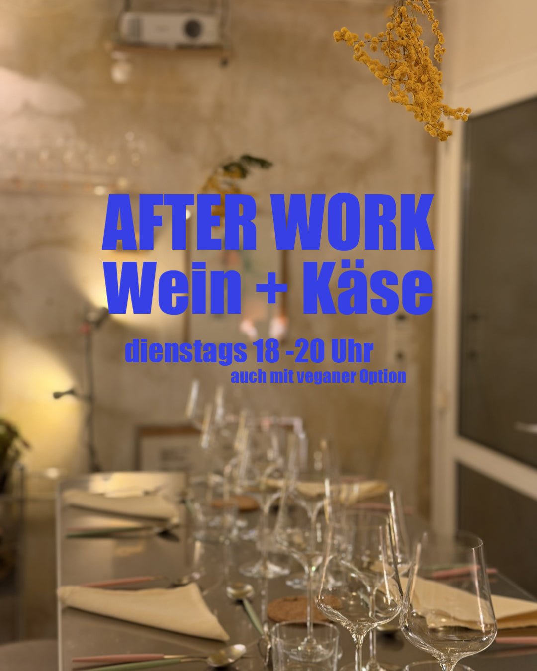 15.12 After-Work-Tasting am Dienstag mit Käse - Tasten - Ponyhof Zu Verkaufen