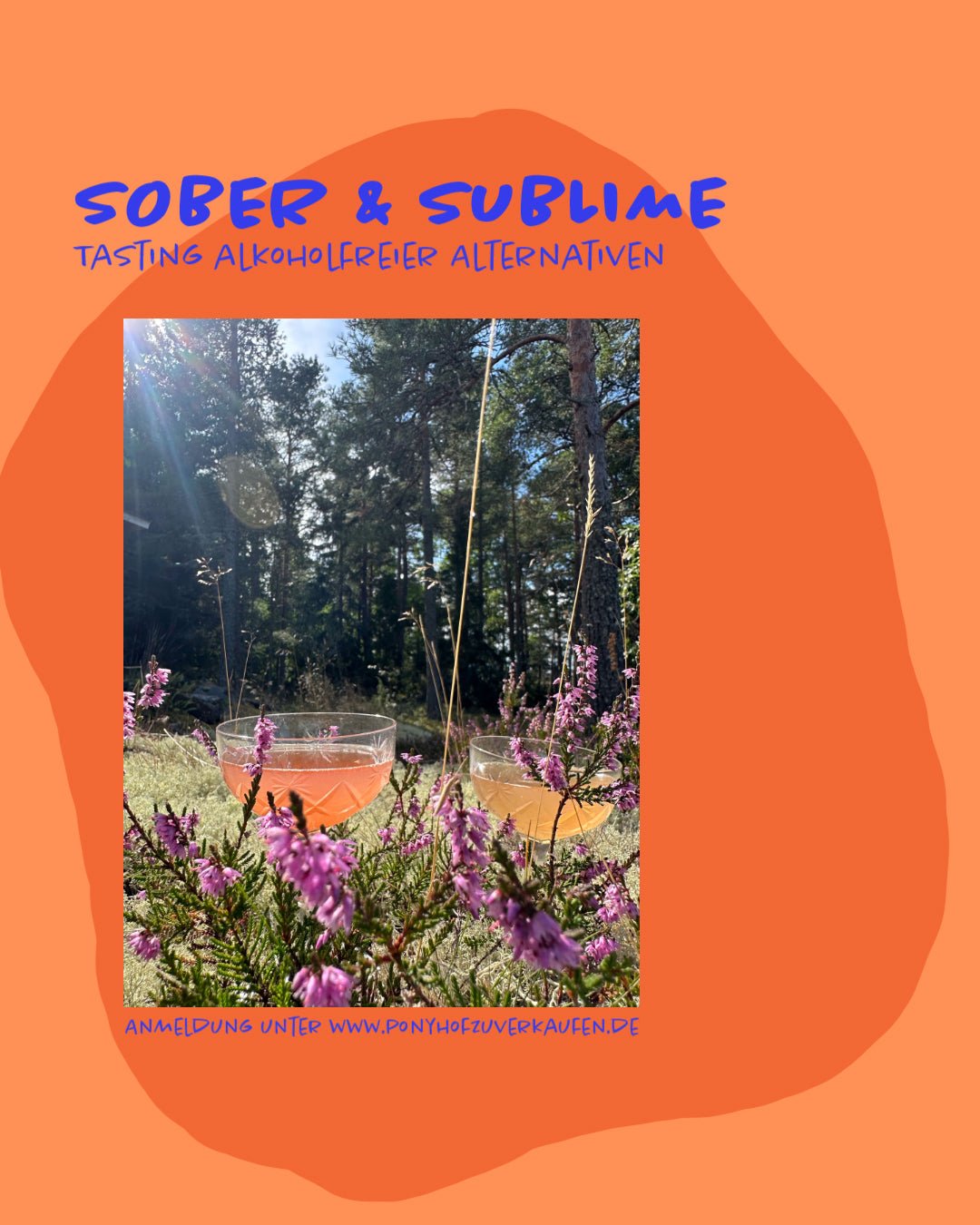 17. Dezember 2025 - Sobre & Sublime - Event - Ponyhof Zu Verkaufen