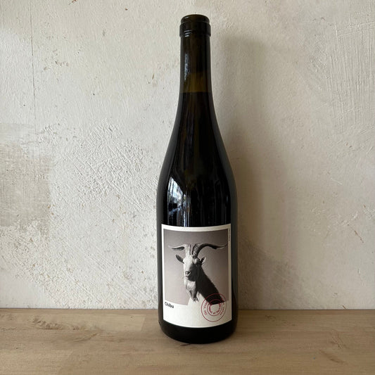 2021 Planet Mouraz Chibu - António Lopes Ribeiro Wines - Ponyhof Zu Verkaufen