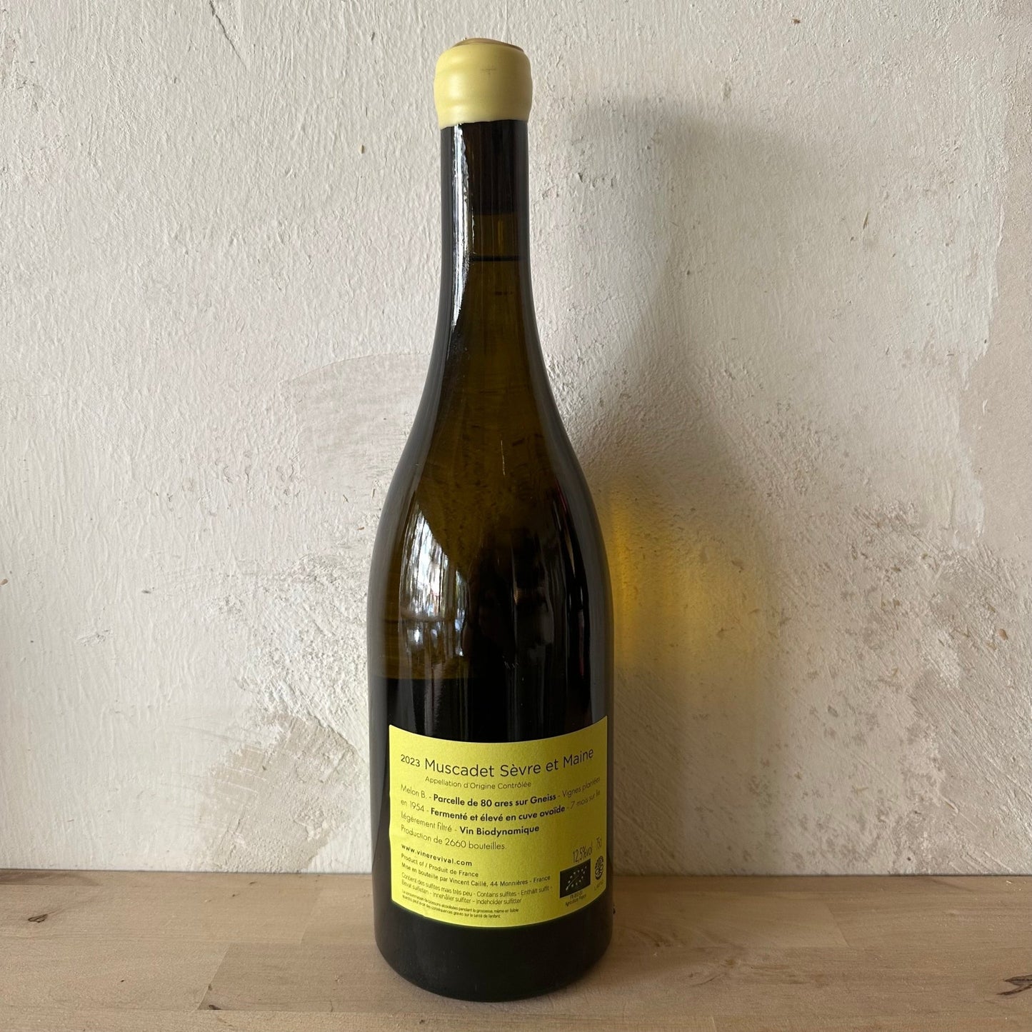 2023 Muscadet Sèvre et Maine "Terre de Gneis" - Domaine Le Fay d'Homme - Ponyhof Zu Verkaufen