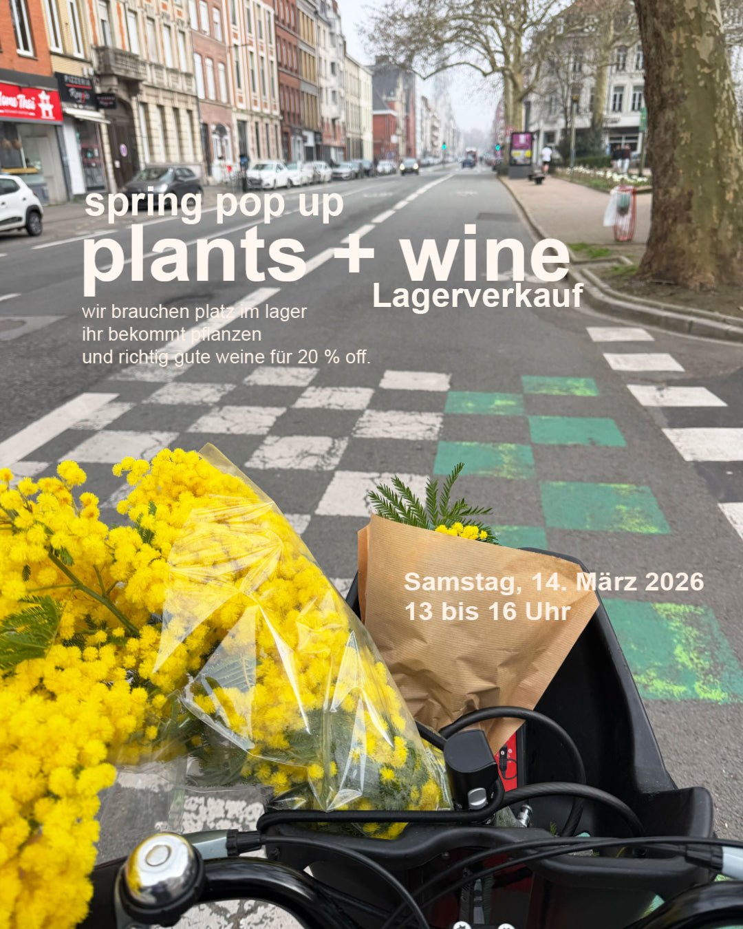 spring pop - up: plants + wine - Ponyhof Zu Verkaufen - Ponyhof Zu Verkaufen
