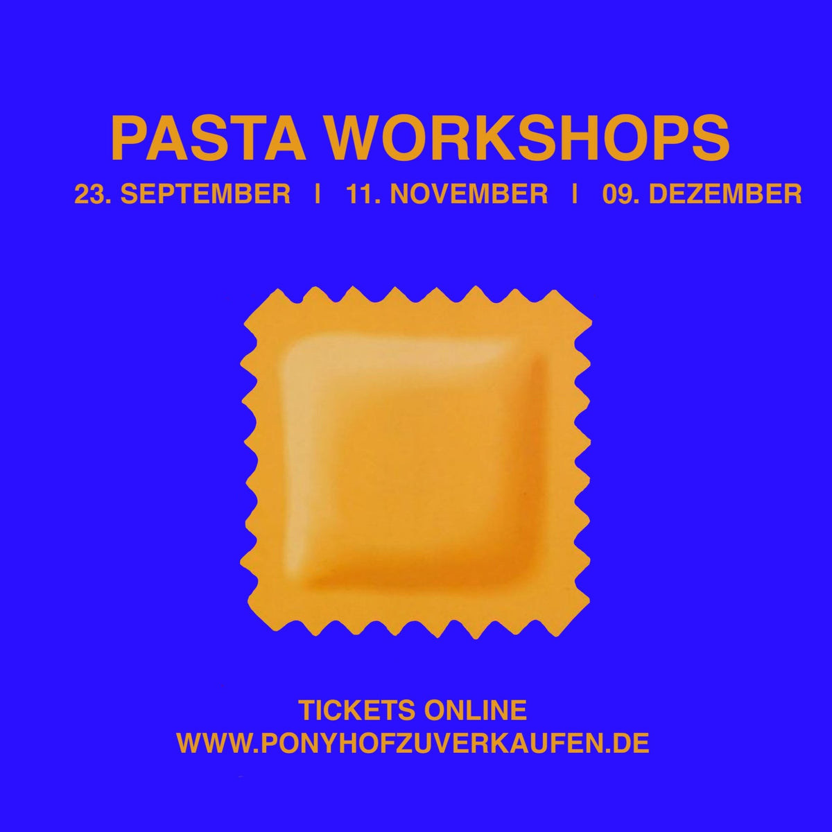 Workshop - Ponyhof Zu Verkaufen - Ponyhof Zu Verkaufen